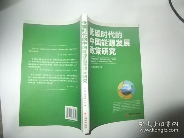 中国就业战略报告_中国 能源 战略_中国能源报告:战略与政策研究
